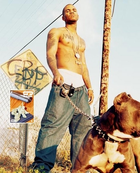 Is a buzz cut and tattoos a hot look for men?