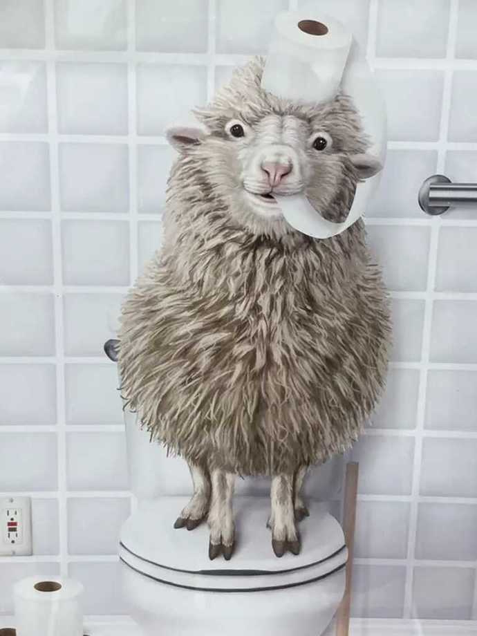 What does this PICTURE make you FEEL?