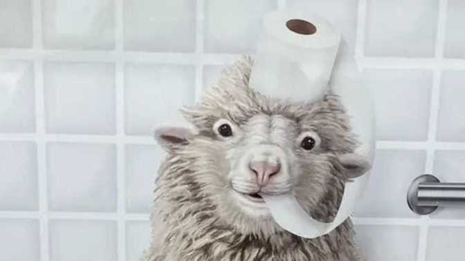 What does this PICTURE make you FEEL?