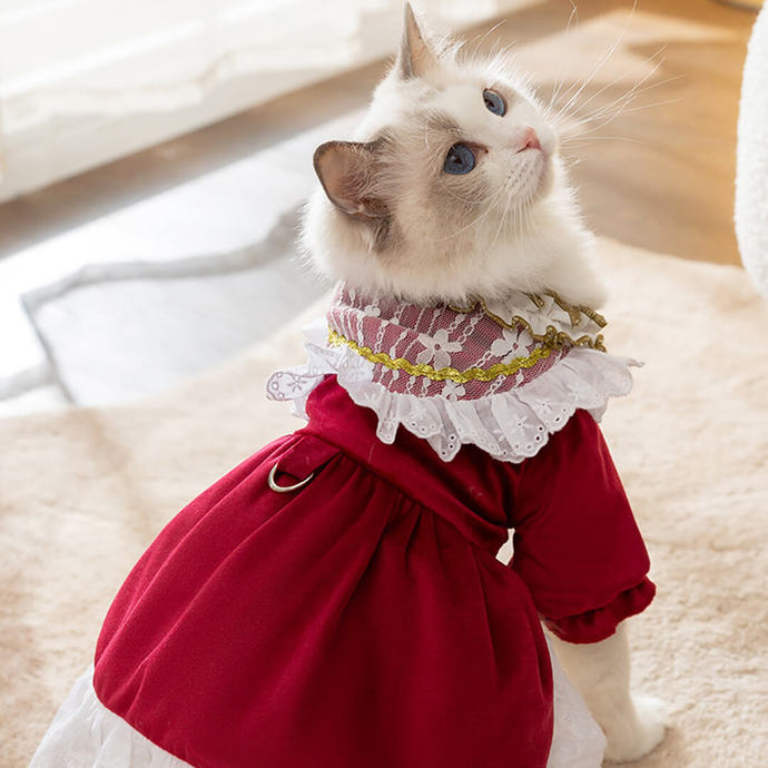 Do you dress your pets?