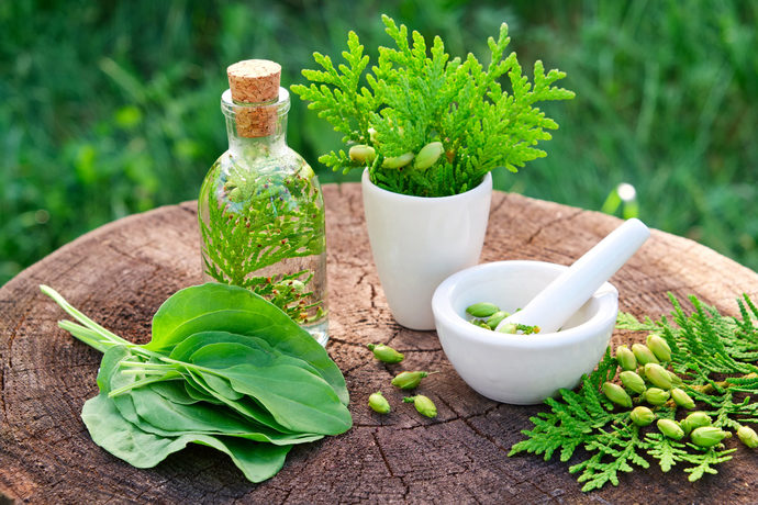 What type of alternative medicine would you try if necessary?