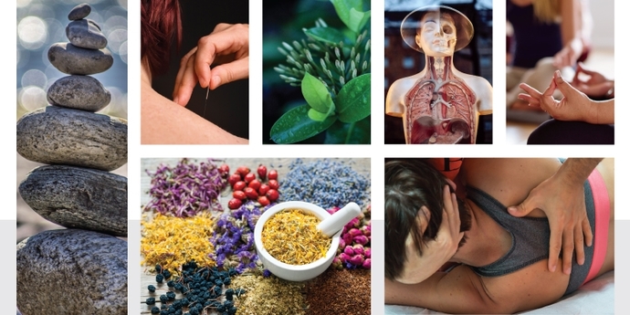 What type of alternative medicine would you try if necessary?