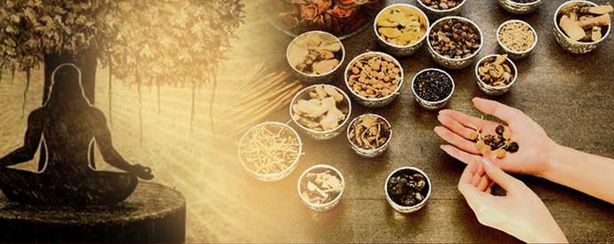 What type of alternative medicine would you try if necessary?