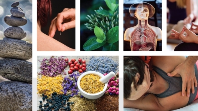 What type of alternative medicine would you try if necessary?
