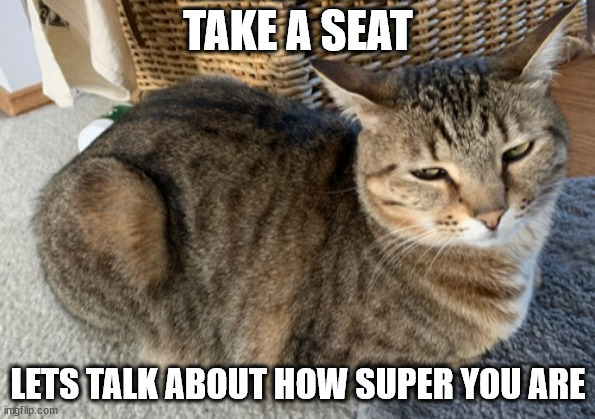 Would you describe yourself as a super person?