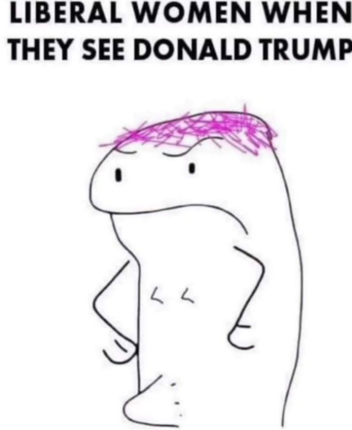 Guys would you ever date a woman who is a liberal democrat?