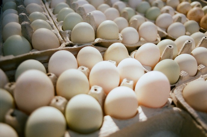 What sort of eggs people usually eat in your country?