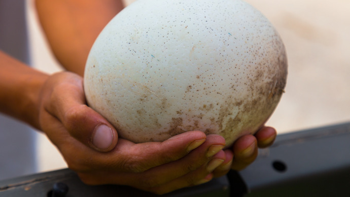 What sort of eggs people usually eat in your country?