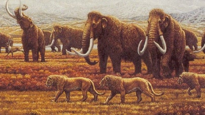 Has anyone here ever studied the late Pleistocene period in North America in depth?