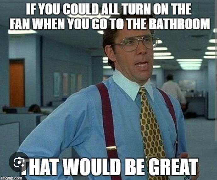 Do you use the fan in the bathroom? Does everyone in your household? For steam or stink or both? If others DONT do it do you get annoyed?