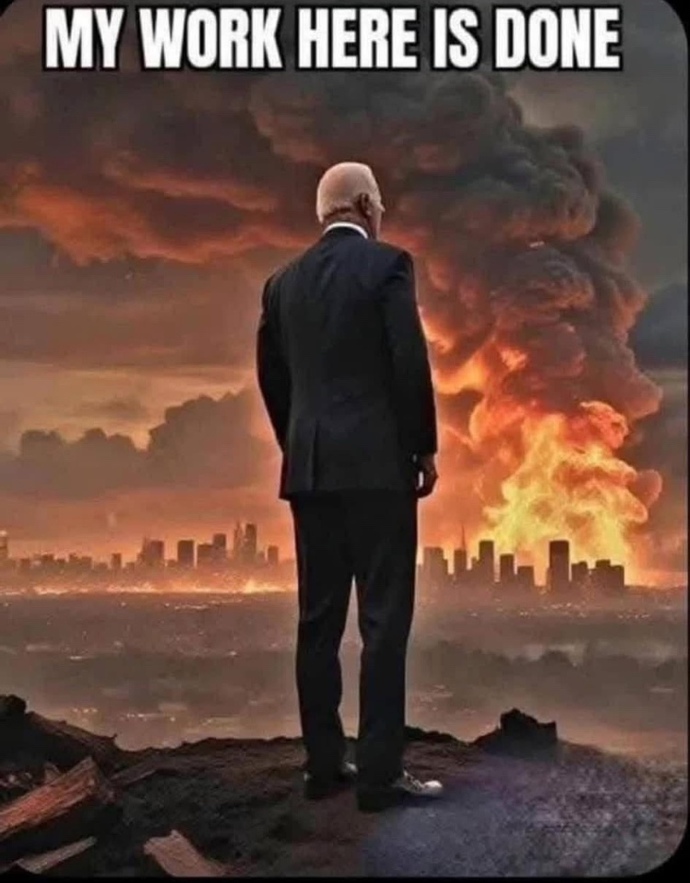 Do you think Joe Biden did a good job?