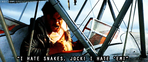What is your opinion on snakes 🐍 ?