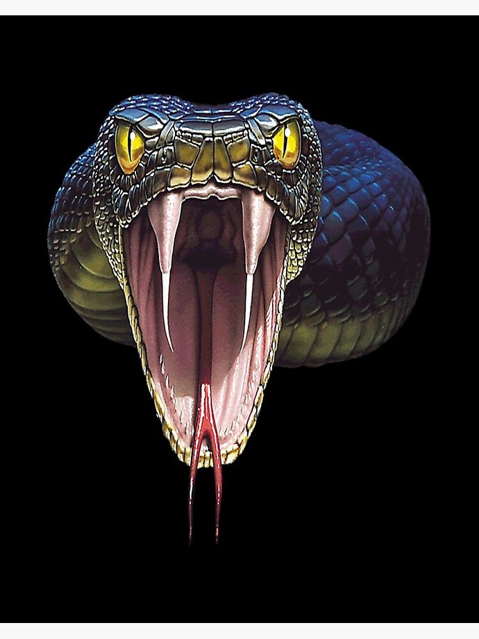 What is your opinion on snakes 🐍 ?