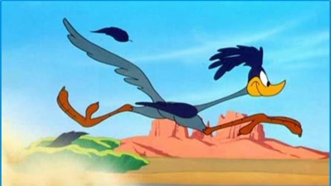 Do you identify yourself with the road runner character from the cartoon series, or with Wile E. Coyote, who tries so hard but always fails?