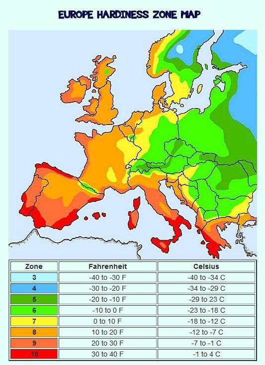 What plant zone are you in?