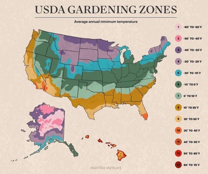 What plant zone are you in?