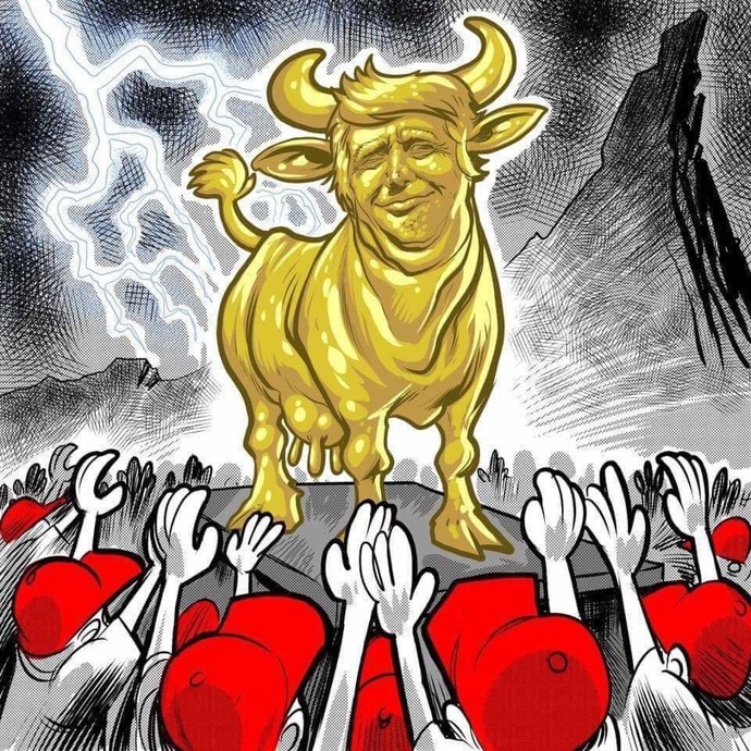 What are your opinions of what Donald Trump has done in office not very long after being inaugurated?
