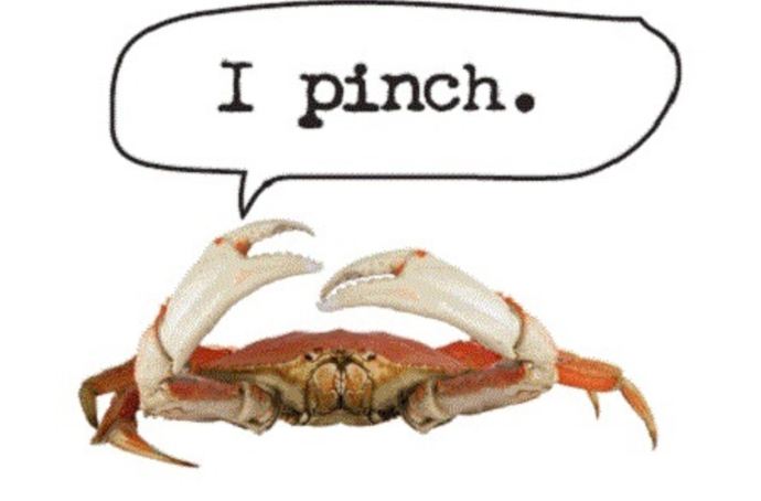 🦀🍕