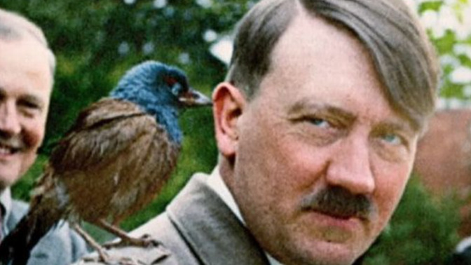 Do you think Elon Musk is a nazi?