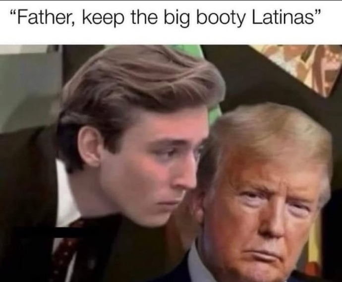 Do you like baron trump?
