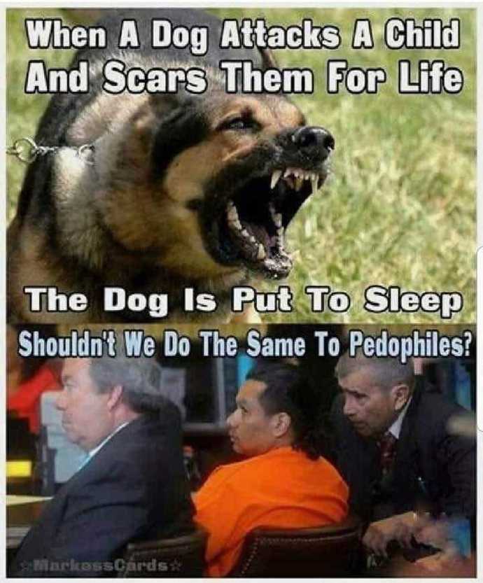 Should Pedofiles and sex offenders get life in prison?