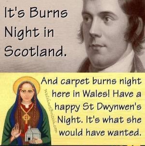 Which St Dwynwens Day/Burns Night meal sounds the best?