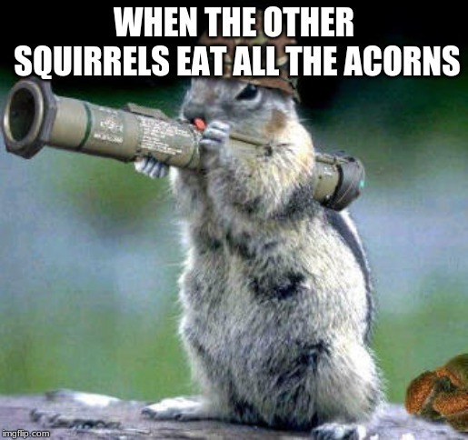 If we were both squirrels, would you share your acorns with me or would I have to sneak them when you’re not looking?