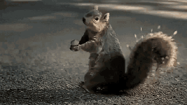 If we were both squirrels, would you share your acorns with me or would I have to sneak them when you’re not looking?