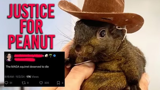 Poor Peanut