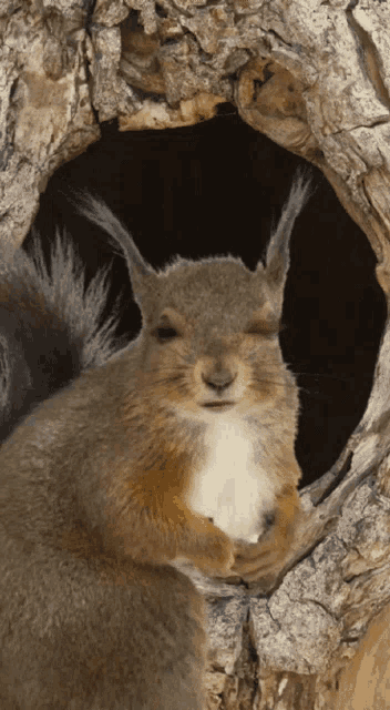 If we were both squirrels, would you share your acorns with me or would I have to sneak them when you’re not looking?