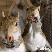 If we were both squirrels, would you share your acorns with me or would I have to sneak them when you’re not looking?