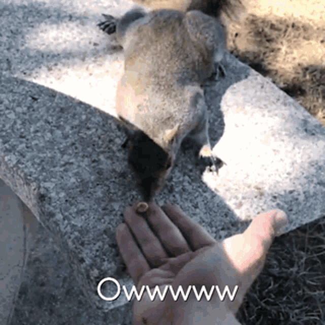 If we were both squirrels, would you share your acorns with me or would I have to sneak them when you’re not looking?