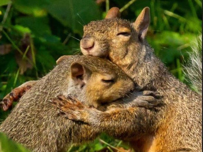 If we were both squirrels, would you share your acorns with me or would I have to sneak them when you’re not looking?