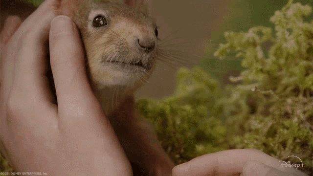 If we were both squirrels, would you share your acorns with me or would I have to sneak them when you’re not looking?