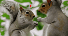 If we were both squirrels, would you share your acorns with me or would I have to sneak them when you’re not looking?