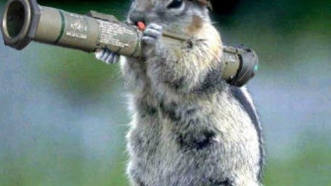 If we were both squirrels, would you share your acorns with me or would I have to sneak them when you’re not looking?