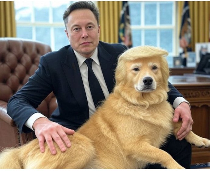 Do you like or dislike Elon Musk?
