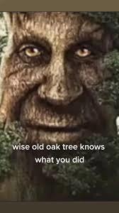 What is your favorite type of Tree?