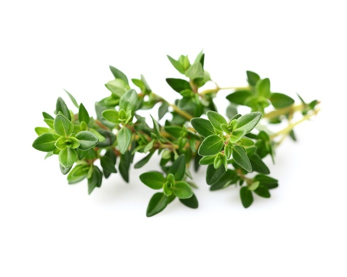 Does anybody else like thymes as a spice?
