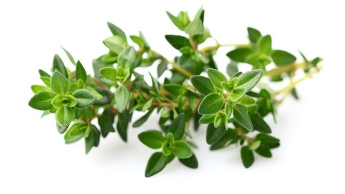 Does anybody else like thymes as a spice?