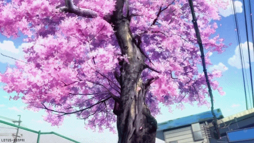 If a tree gets a paper cut, does it just sap it up and keep going?