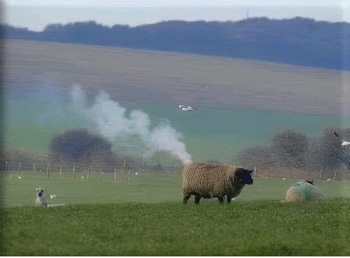 Have you ever been frightened to fart when its cold?