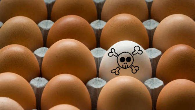 Have you ever experienced food poisoning? If yes, how did you get it?