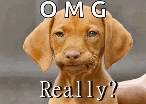 If you could time travel but only to awkward moments, when would you go?