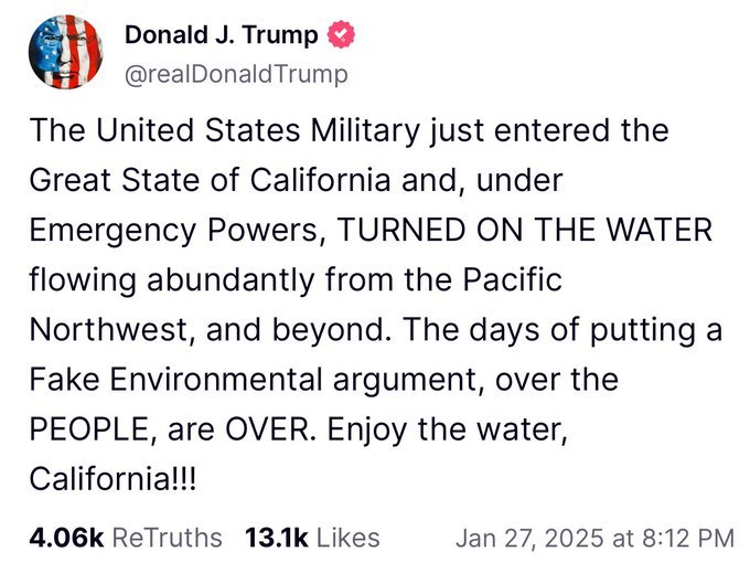 Did people vote for Trump purely for the comedy gold?