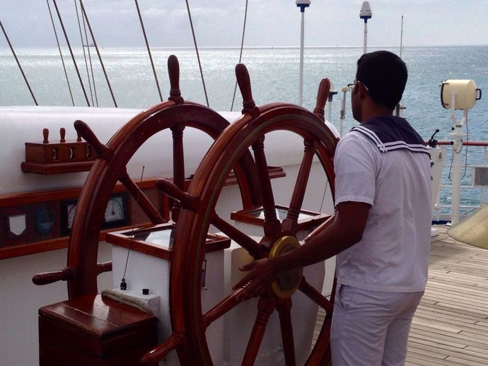 Are you a better driver, pilot or skipper?