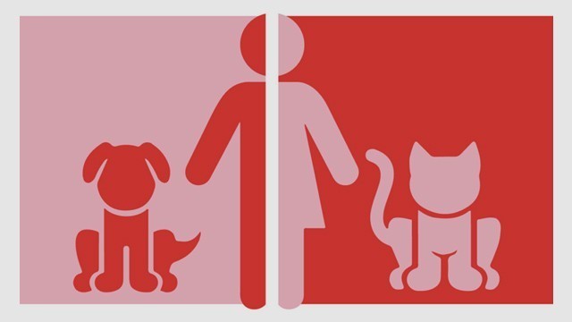 Why Do people assume that men prefer dogs and womens cats?