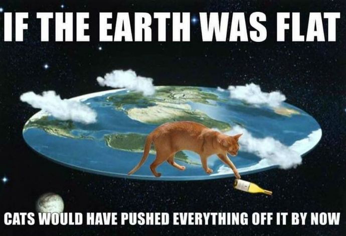 Obviously the earth cannot be flat because if it was all the cats of the world would push everything off the edge. True or false?