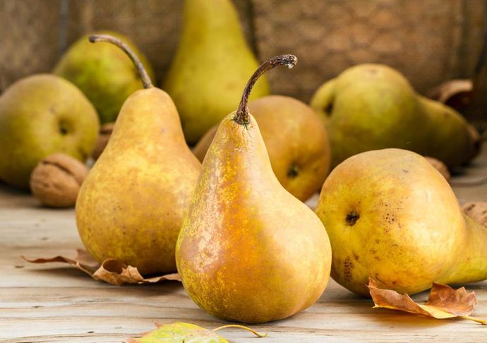 Whats your favorite fruit?