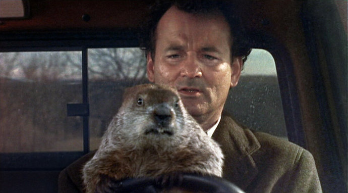 Is the groundhog gonna see his shadow?